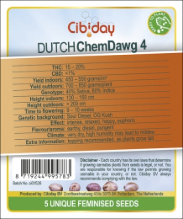 Dutch Chemdawg