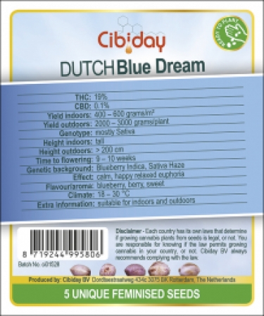 Dutch Blue Dream