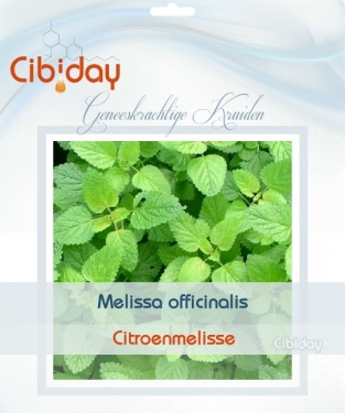 Citroenmelisse - Melissa officinalis