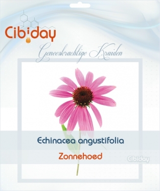 Echinacea Angustifolia Kweken