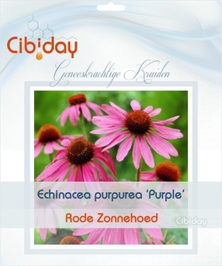 Echinacea purpurea Purple zaden