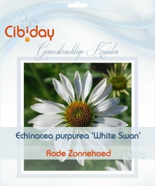 Echinacea purpurea White Swan - Rode Zonnehoed