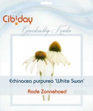Echinacea purpurea White Swan - Zaden