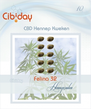 Felina 32 CBD Hennepzaden