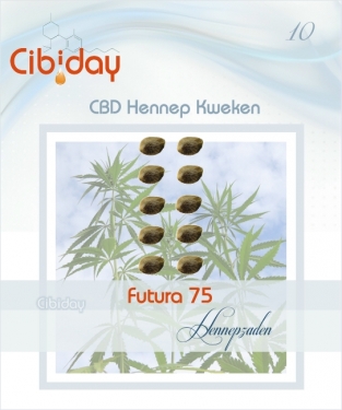 Futura 75 CBD Hennepzaden