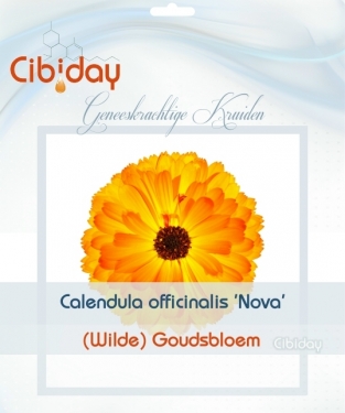 Goudsbloem - Calendula Zaden