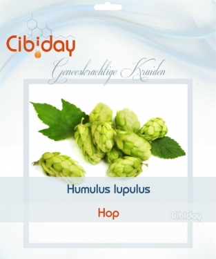 Hop - Humulus lupulus zaden