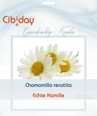 Kamille - Chamomilla - Geneeskrachtig