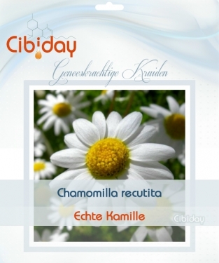 Kamille - Chamomilla recutita