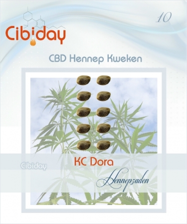 KC Dora CBD Hennepzaden