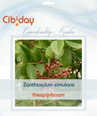 Kiespijnboom - Zanthoxylum simulans
