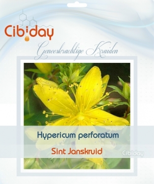 Sint Janskruid - Hypericum perforatum