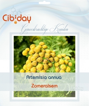 Zomeralsem - Artemisia annua kruid