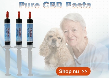 Pure CBD Pasta Cibiday