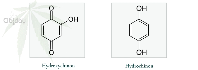 Verschil Hydroxychinon Hydrochinon