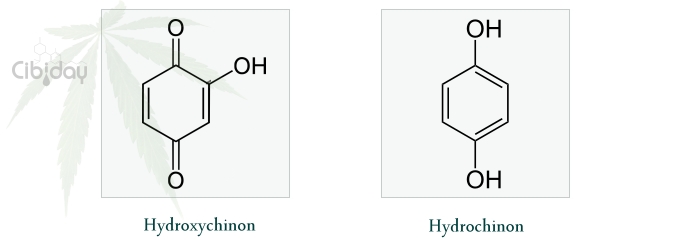 Verschil Hydroxychinon Hydrochinon