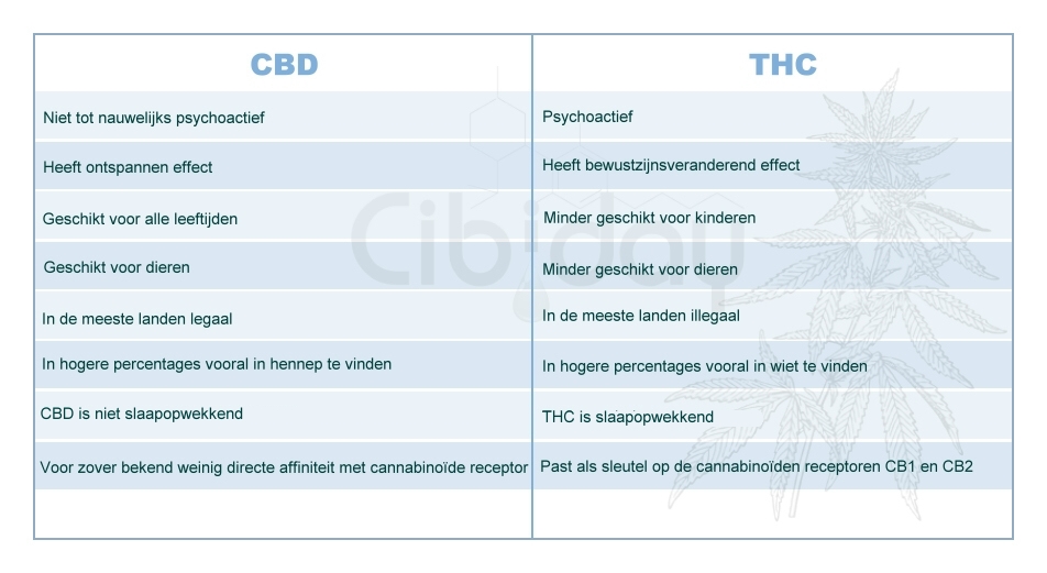 Verschillen tussen CBD en THC